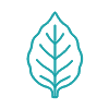 Virginia Retail Tobacco License